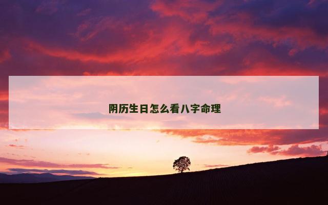 阴历生日怎么看八字命理