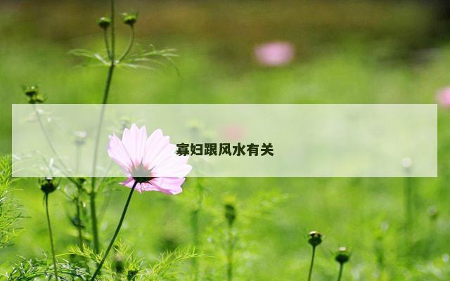 寡妇跟风水有关