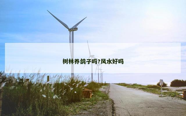 树林养鸽子吗?风水好吗