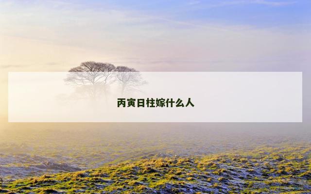 丙寅日柱嫁什么人