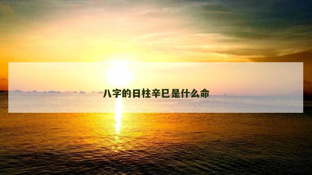 八字的日柱辛巳是什么命