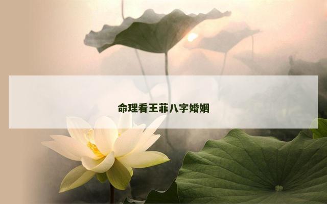 命理看王菲八字婚姻