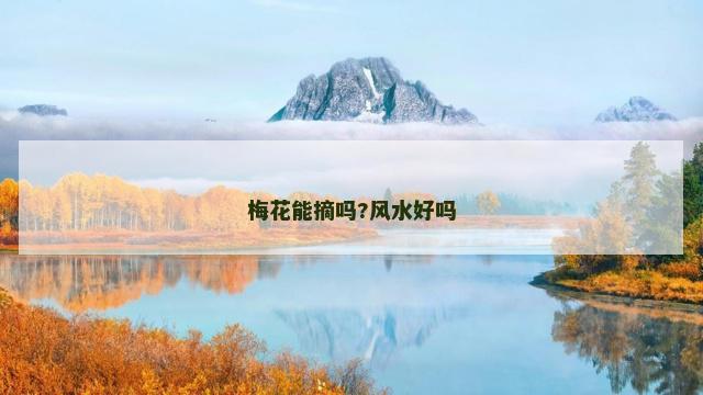 梅花能摘吗?风水好吗
