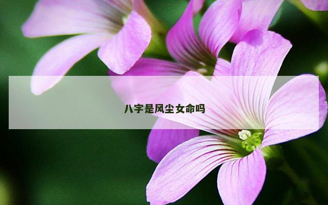 八字是风尘女命吗
