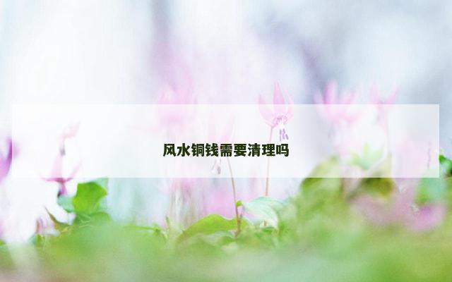 风水铜钱需要清理吗