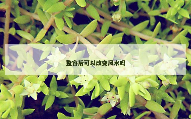 整容后可以改变风水吗