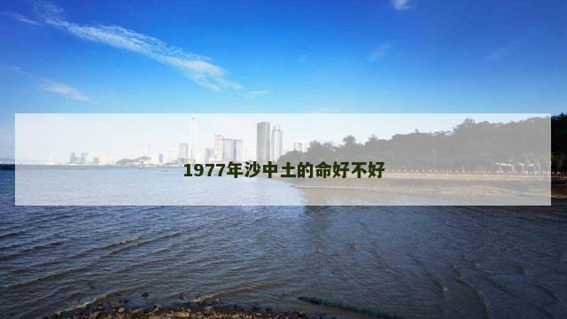 1977年沙中土的命好不好