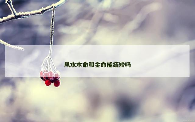 风水木命和金命能结婚吗