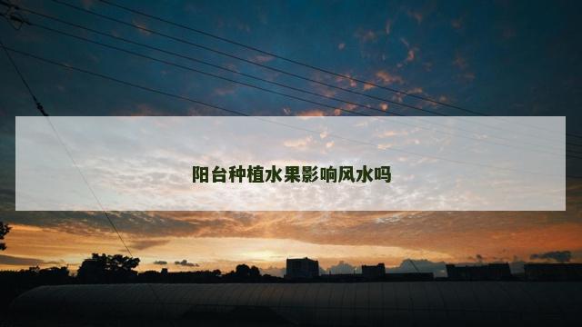阳台种植水果影响风水吗
