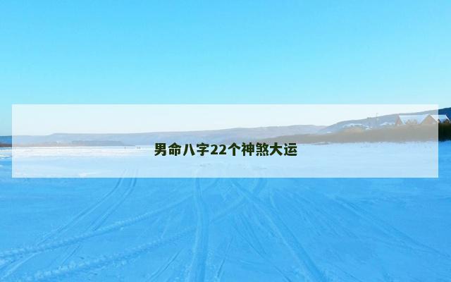 男命八字22个神煞大运