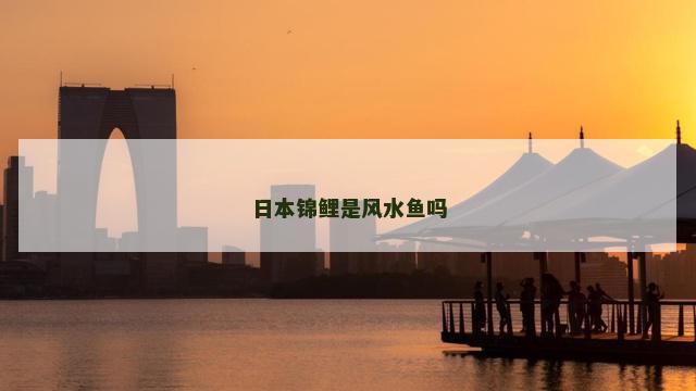 日本锦鲤是风水鱼吗