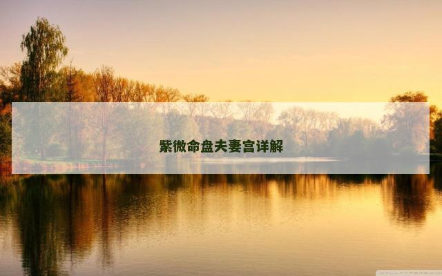 紫微命盘夫妻宫详解