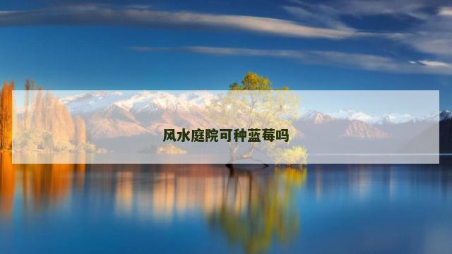 风水庭院可种蓝莓吗