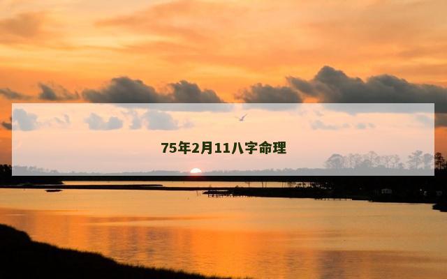 75年2月11八字命理