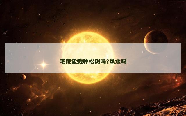 宅院能栽种松树吗?风水吗