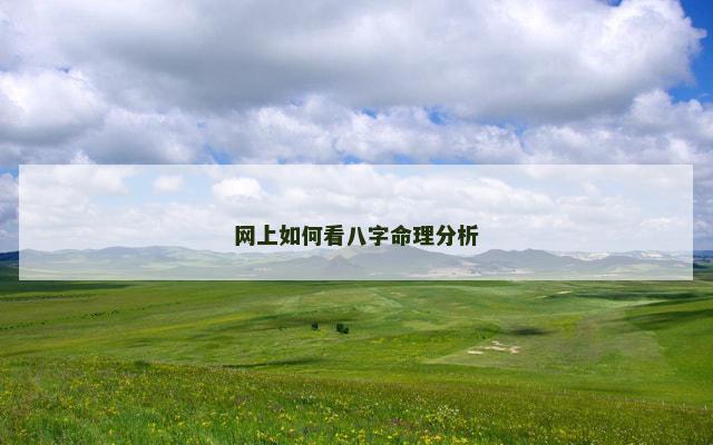 网上如何看八字命理分析