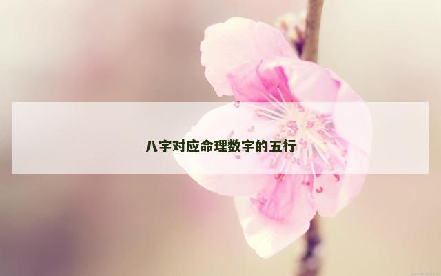 八字对应命理数字的五行