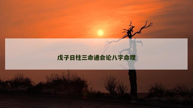 戊子日柱三命通会论八字命理
