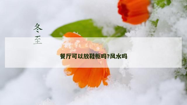 餐厅可以放鞋柜吗?风水吗