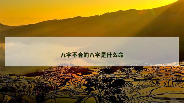 八字不合的八字是什么命