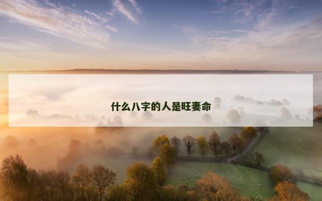 什么八字的人是旺妻命