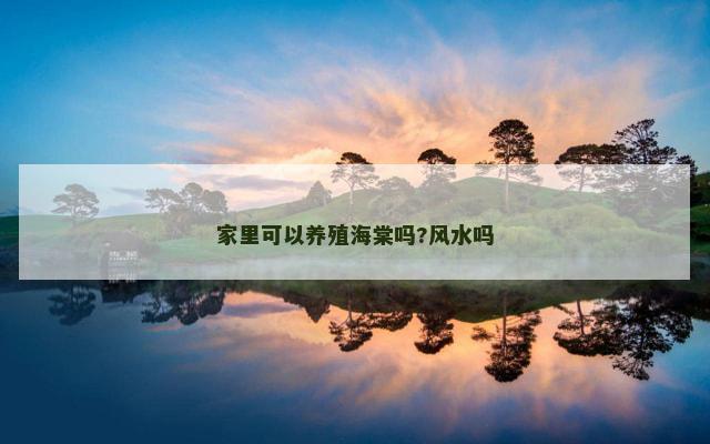 家里可以养殖海棠吗?风水吗