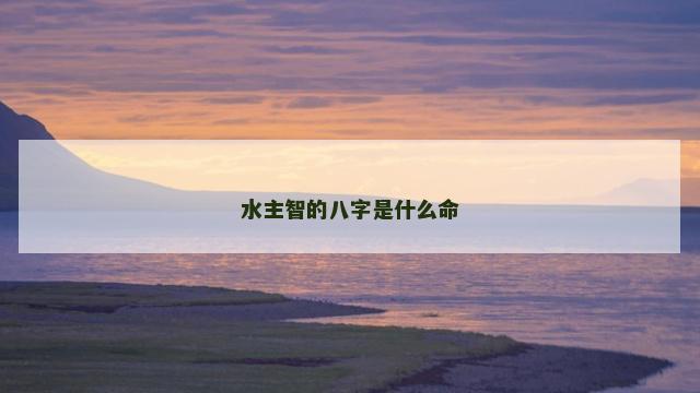 水主智的八字是什么命 水主智木主仁