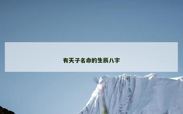 有天子名命的生辰八字 八字命格查询