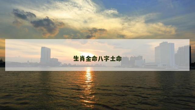 生肖金命八字土命 2金1木1水3火1土缺啥
