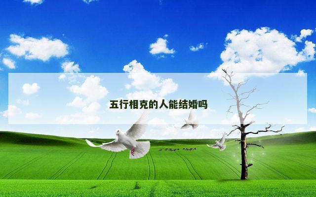 五行相克的人能结婚吗 十二生肖的相生相克大全表