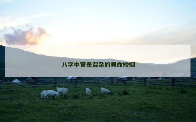 八字中官杀混杂的男命婚姻 官杀男喜欢的类型