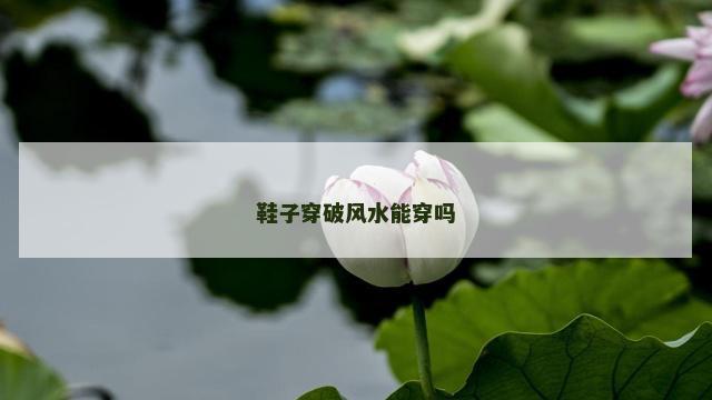 鞋子穿破风水能穿吗 鞋穿破了意味着什么