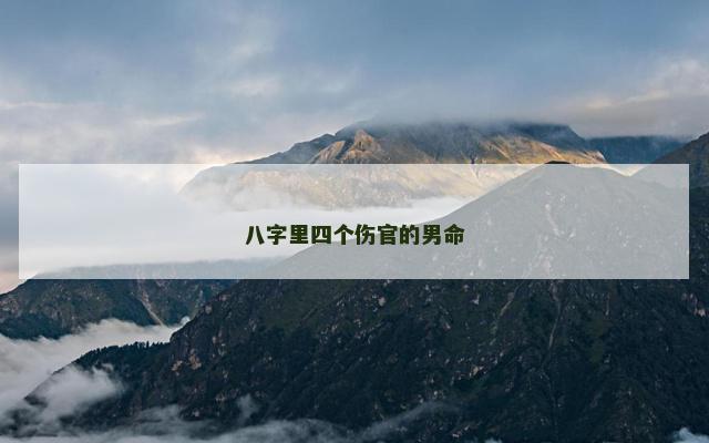 八字里四个伤官的男命 伤官命格男命