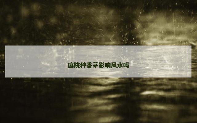 庭院种香茅影响风水吗 香茅草的种植方法和技术