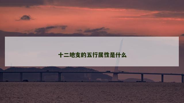 十二地支的五行属性是什么 十二地支对应的脏腑
