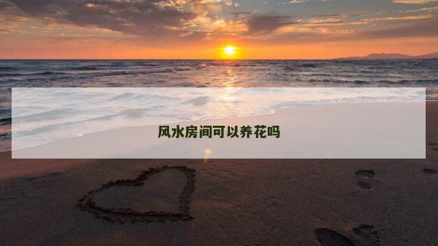 风水房间可以养花吗 家里养花风水好吗