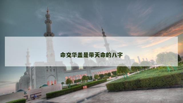 命交华盖是带天命的八字
