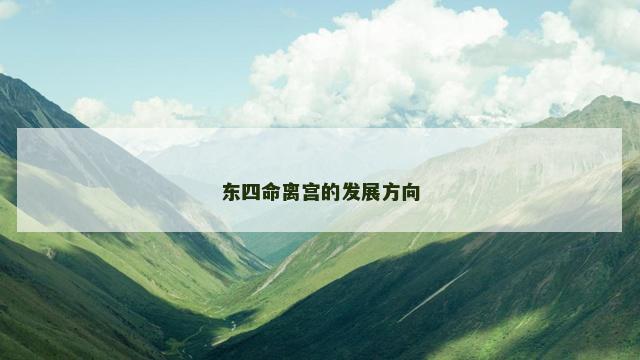 东四命离宫的发展方向