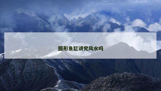 圆形鱼缸讲究风水吗