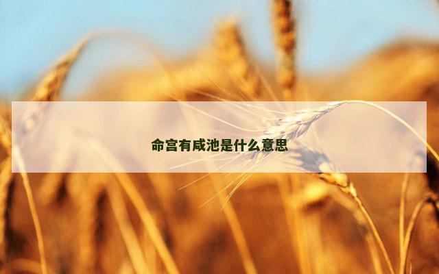 命宫有咸池是什么意思