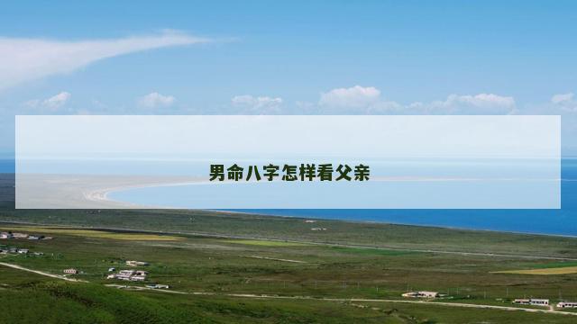 男命八字怎样看父亲