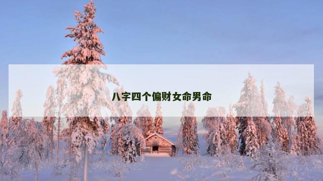 八字四个偏财女命男命