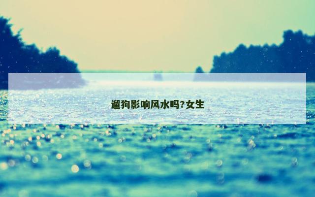 遛狗影响风水吗?女生
