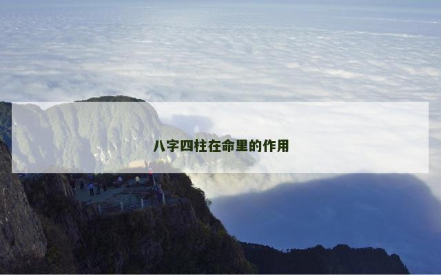 八字四柱在命里的作用