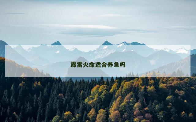 霹雷火命适合养鱼吗