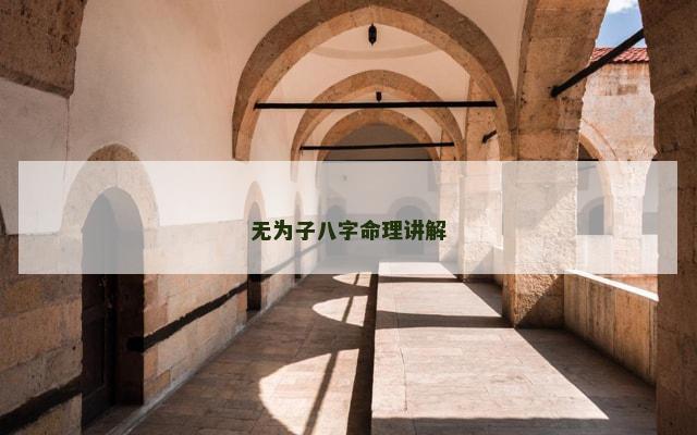 无为子八字命理讲解